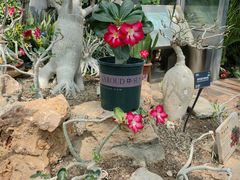 -国家植物园南园