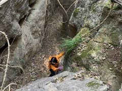 -泰山风景名胜区-普照寺