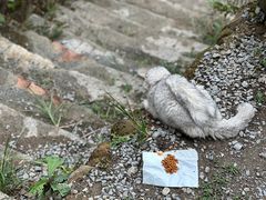 -远山有窑