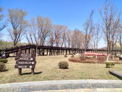 -蒲河岛湿地公园