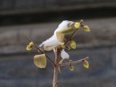 -颐和园