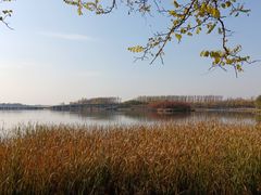 -丁香湖公园