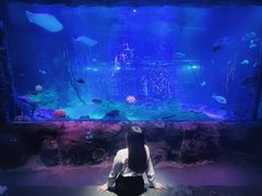 -沈阳海洋探索中心