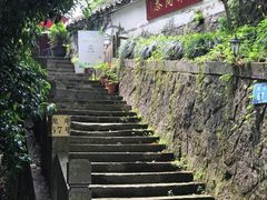 -龙井村