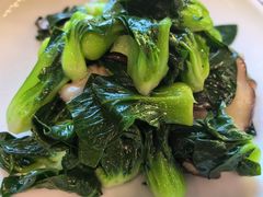 香菇炒青菜-二泉园老菜馆·百年无锡菜