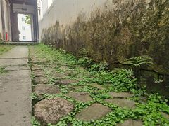 -东梓关景区村庄