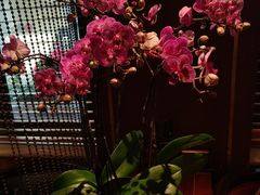-国际饭店·原点咖啡吧ORIGIN CAFE&BAR
