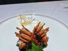 -洋洋中餐馆·SINCE 1997(信投店)