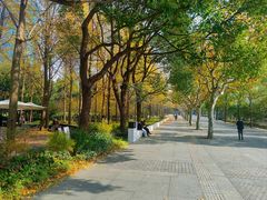 -陆家嘴中心绿地