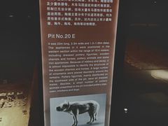 -汉景帝阳陵博物院