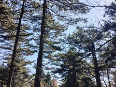 -罗田薄刀峰风景区