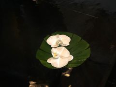 -南京金陵饭店