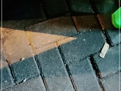 -舒小笼松针小笼包