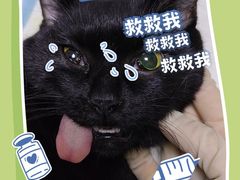 -科道动物医院·急重症中心(万达院)