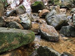 -梧桐山风景名胜区