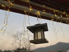 -她说户外烧烤团建(西湖店)