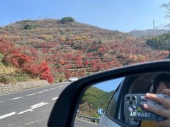 -四明山国家森林公园