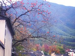 -塔川景区
