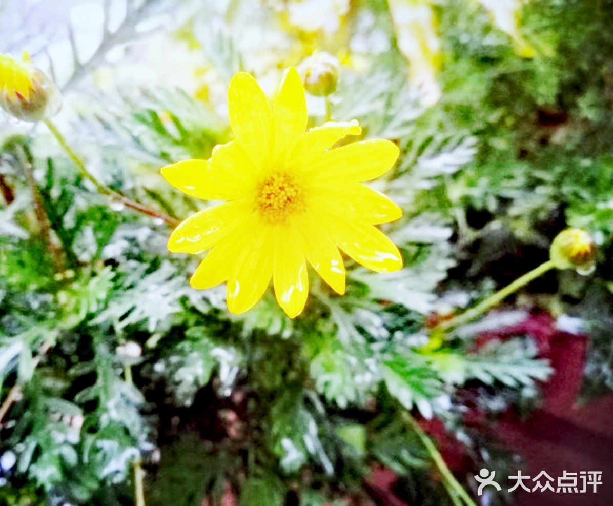定能在草木闲情的光阴里 读四季如诗 寻花开花落