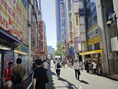 -秋叶原电器街