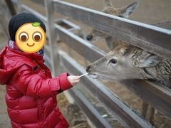 -安德鲁户外烧烤帐篷营地(马泉营店)