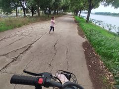 -漕湖湿地公园