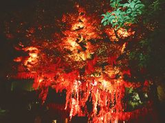 -济南方特东方神画