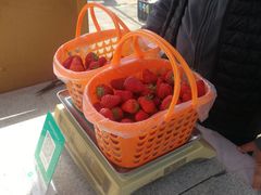 -大自然农场蔬菜草莓采摘园