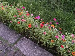 -八卦田遗址公园