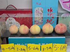 -老袁家蜜桃农场·阳山水蜜桃