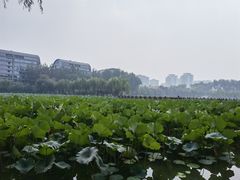 -中国农业博物馆