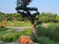 -丹樱生态园