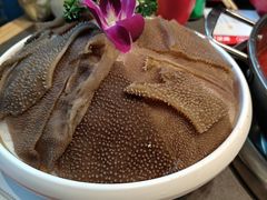 -蜀滋香鲜鱼美蛙火锅(339店)