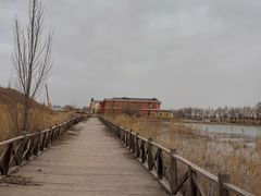 -哈素海