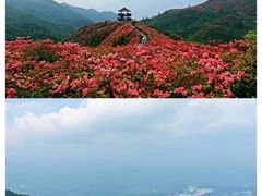 -大围山国家森林公园