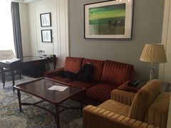 -上海圣淘沙万怡酒店