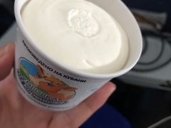-谢列梅捷沃国际机场