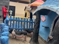 -仙海旅游度假区