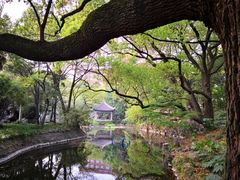 -叶家花园