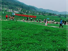 -南泥湾风景区