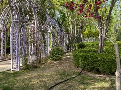 -南宫五洲植物乐园