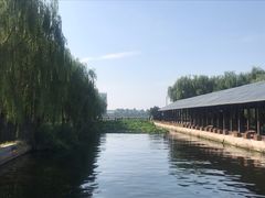 景点-白洋淀景区