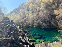 -叠溪松坪沟景区