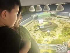-嘉兴海底世界