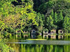 -重庆彩云湖湿地公园