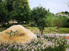 -武清南湖绿博园