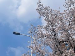 -尚贤河湿地