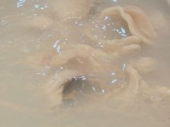 -榕记(番禺总店)