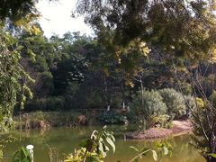 旁边还有座山-厦门悦华酒店