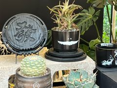 -茑屋书店(天目里店)